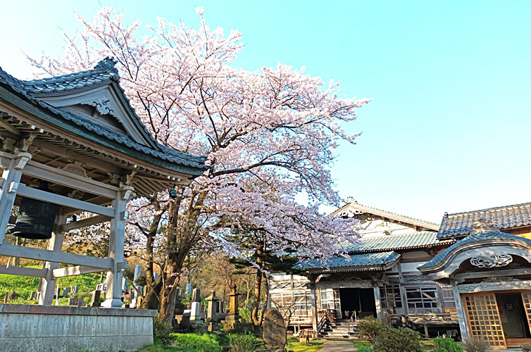 善勝寺