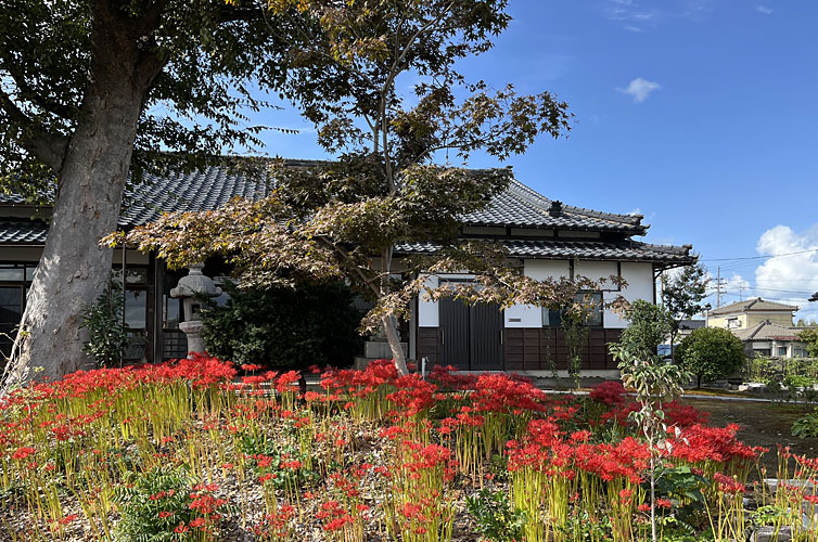 智堂寺